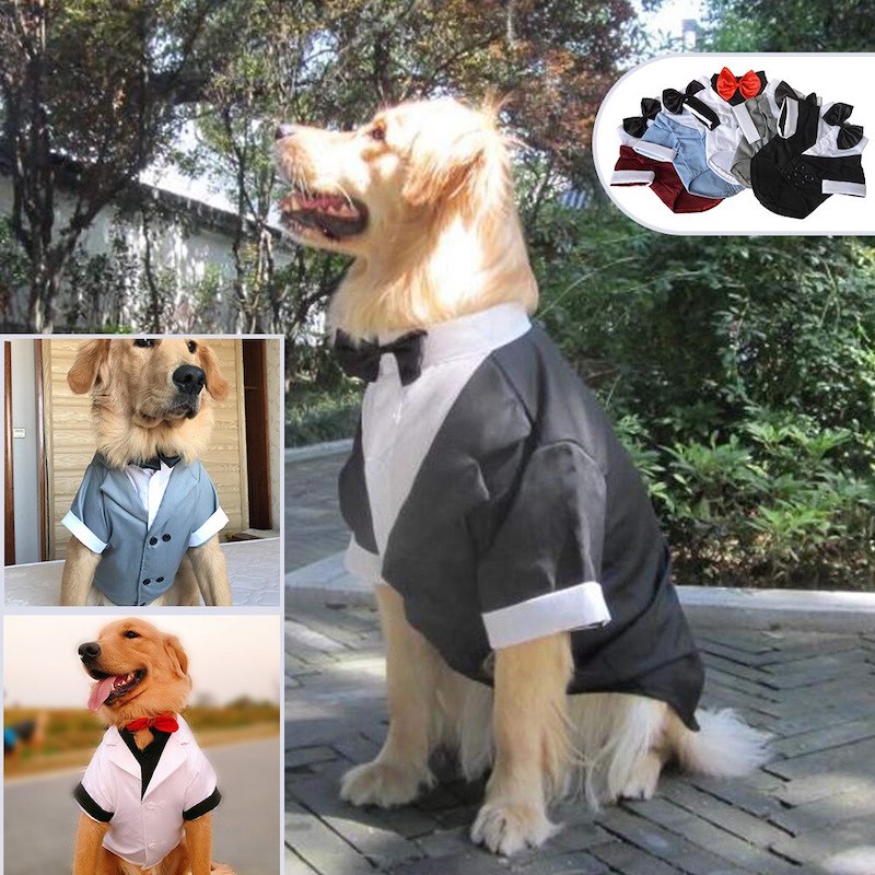 Dog Tuxedo